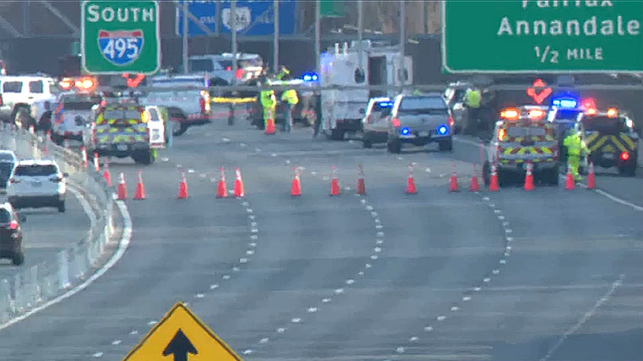 Image for the article: 'Road rage incident' turns deadly as Virginia highway stabbing leaves 2 people dead; dog also killed