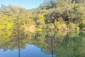 Изображение к статье: Водохранилище Лау Шуй Хын в Гонконге