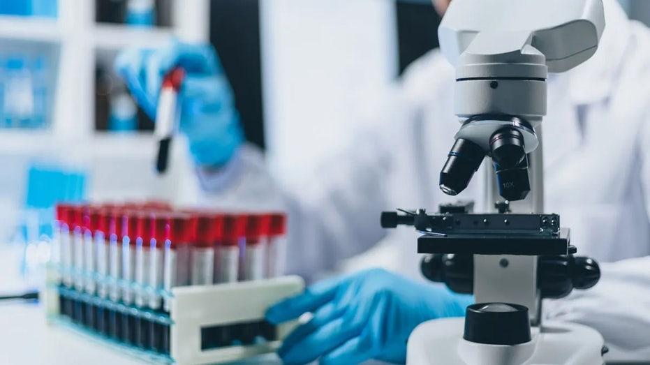 Image for the article: House Republicans sound alarm over CCP-linked fake research threatening US taxpayer-funded science