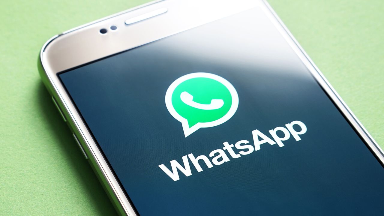 Изображение к статье: WhatsApp официально называет Mullvad и Amnezia VPN рекомендуемыми инструментами для обхода цензуры.