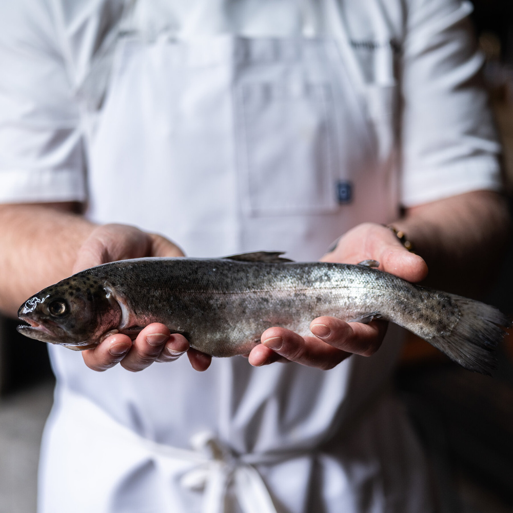 Изображение к статье: Программа Seafood Watch в аквариуме Монтерей-Бей предоставляет рекомендации по устойчивому рыболовству