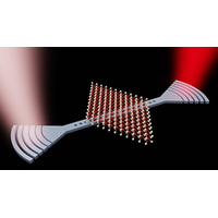 Image for the article: Strongly Nonlinear Nanocavity Exciton Polaritons in Gate-Tunable Monolayer Semiconductors