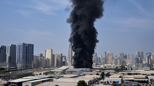 Image for the article: Canadians in Persian Gulf say they are living by the grace of missile defence systems