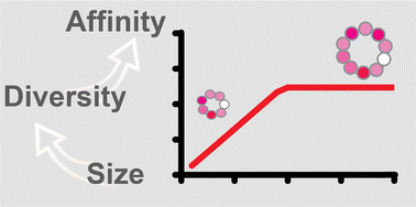 Image for the article: The effect of peptide size on target affinity in mRNA display-derived macrocyclic peptides