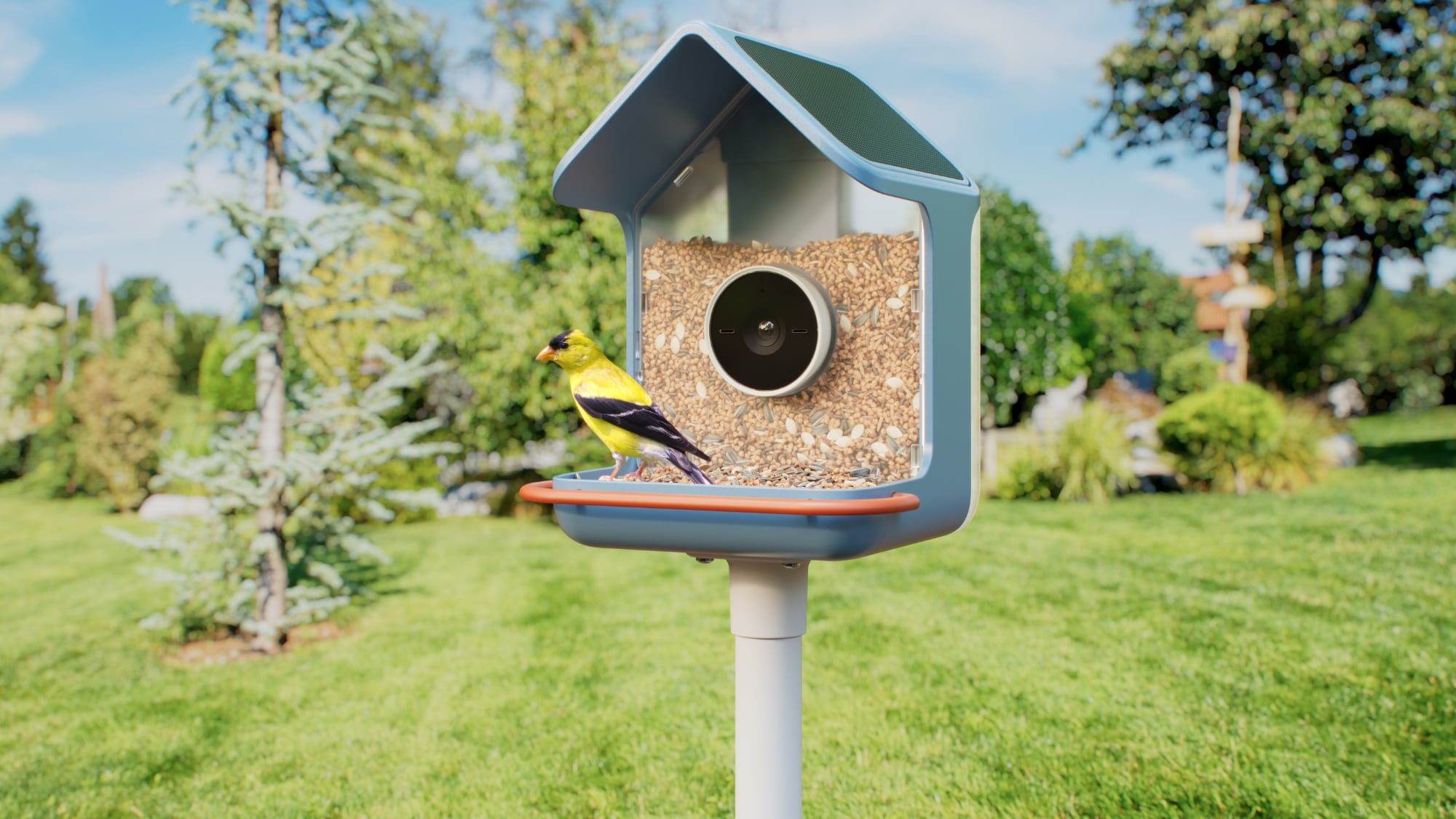 Image for the article: CES 2026: Birdbuddy Debuts New Smart Bird Feeders