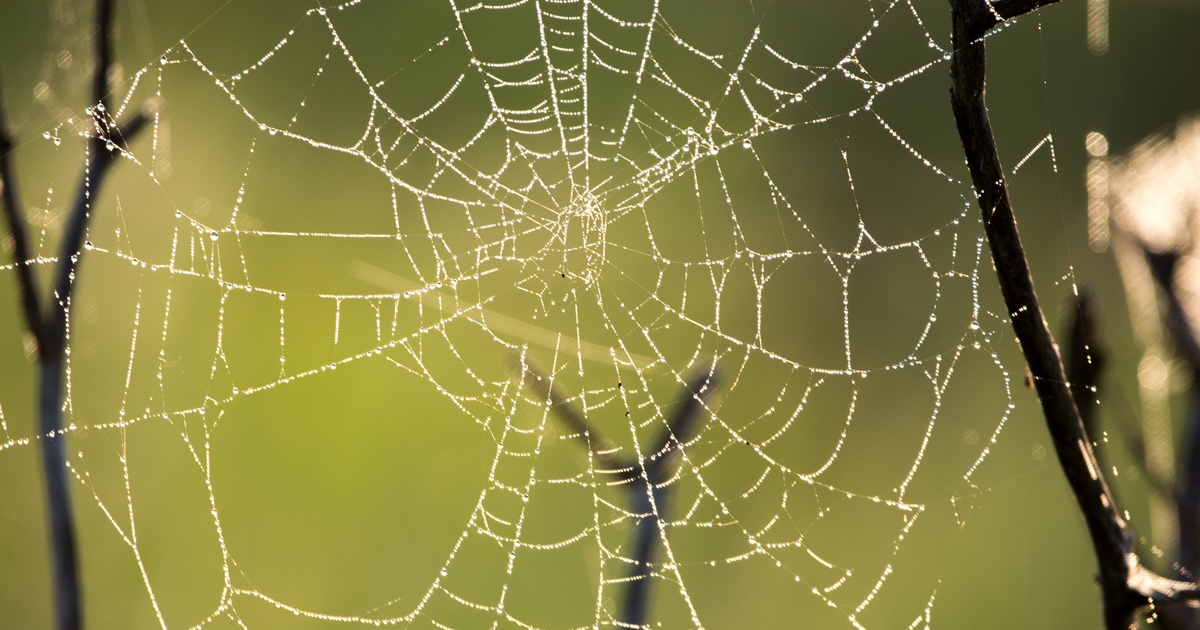 Image for the article: Google Launches Automated Review Feature in Gemini CLI Conductor