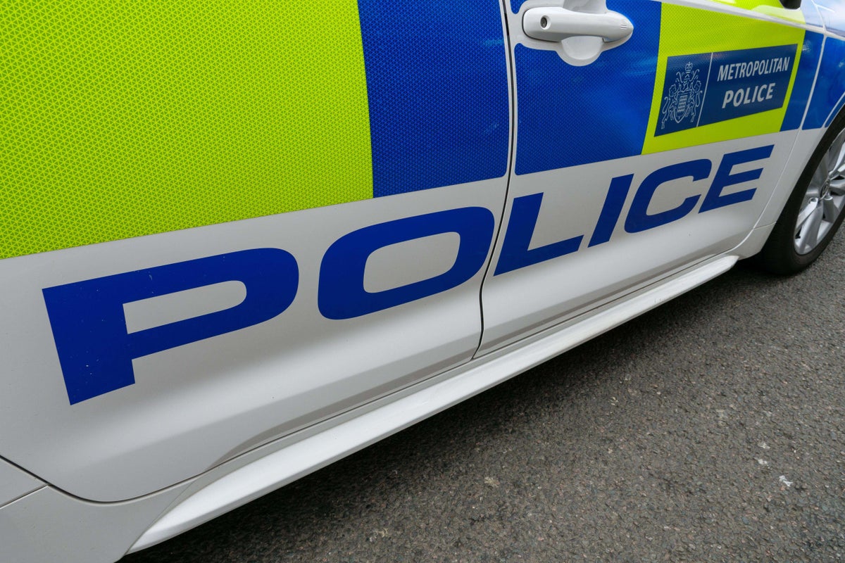 Image for the article: Three men hospitalised with knife injuries after fight at Surrey train station