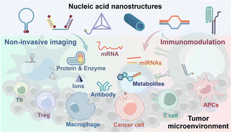 Изображение к статье: Нанотехнологии нуклеиновых кислот в исследовании микроокружения опухоли: от освещения до вмешательства для усиления иммунотерапии