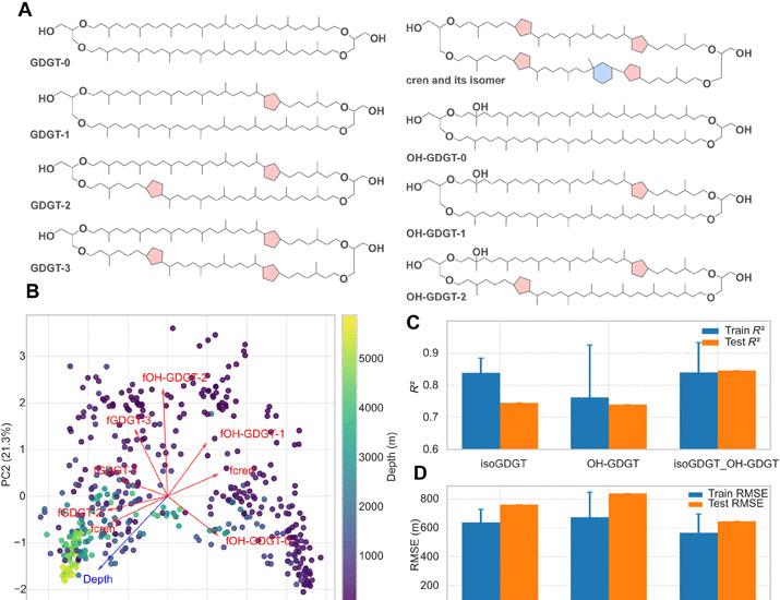 Image for the article: Machine learning-based paleobathymetric reconstructions using archaeal lipid biomarkers | Science Advances