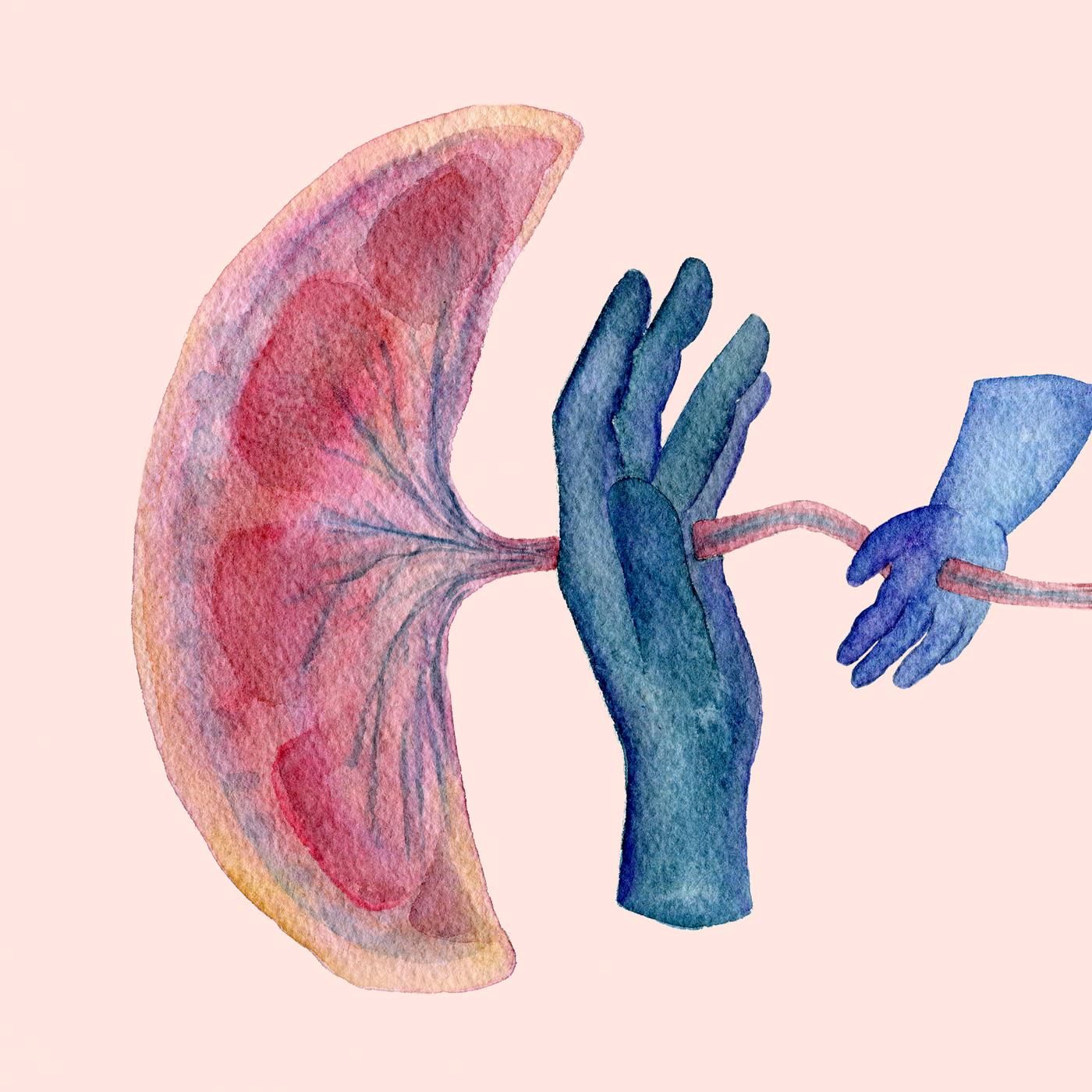 Image for the article: Everybody’s Got One