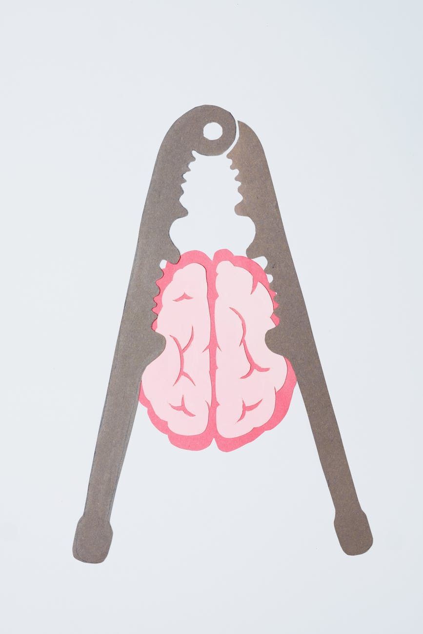 Изображение к статье: Мягкое предубеждение о гибели ИИ: Потому что пользователи просто слишком некомпетентны