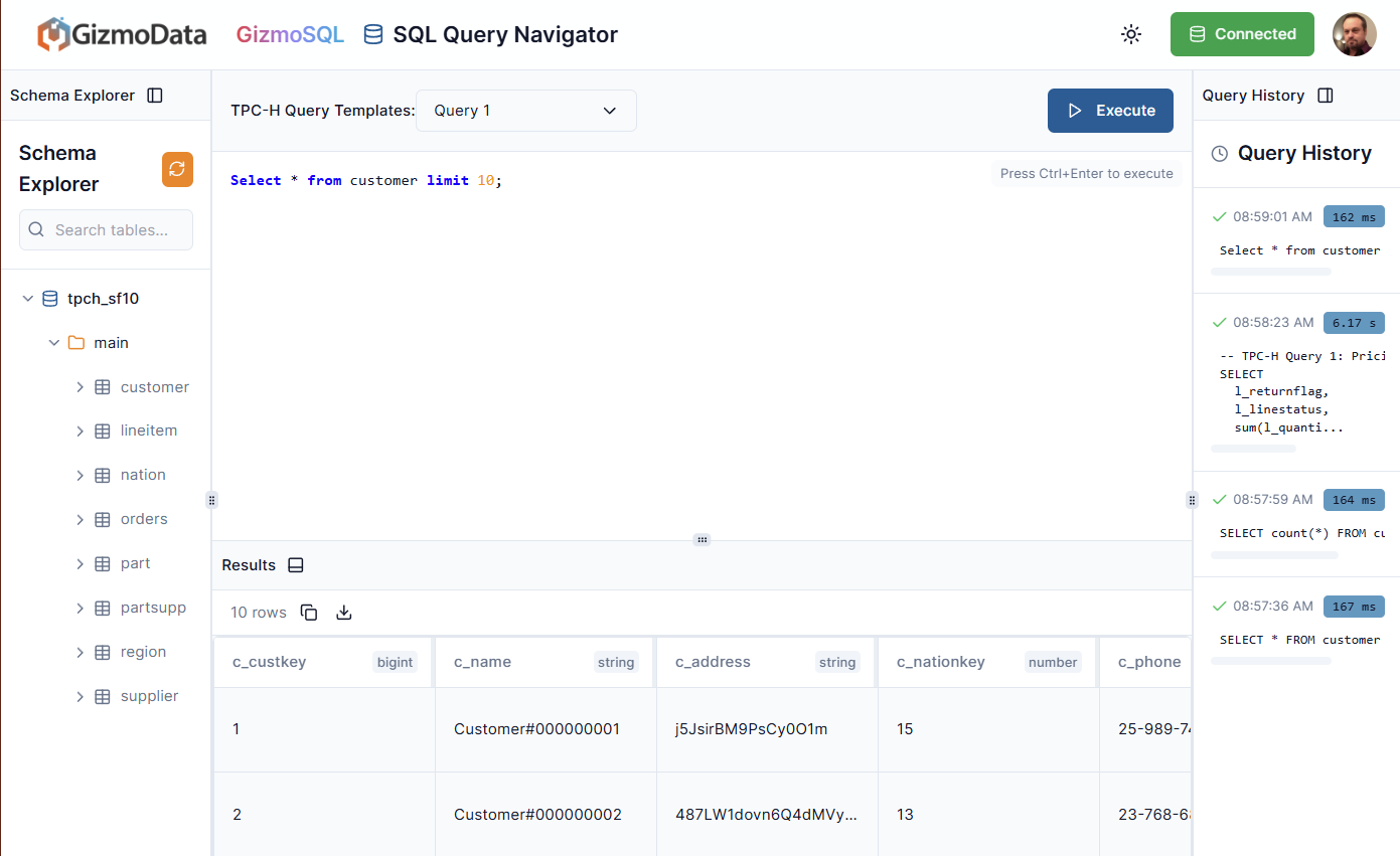 Изображение к статье: Что вообще такое GizmoSQL?
