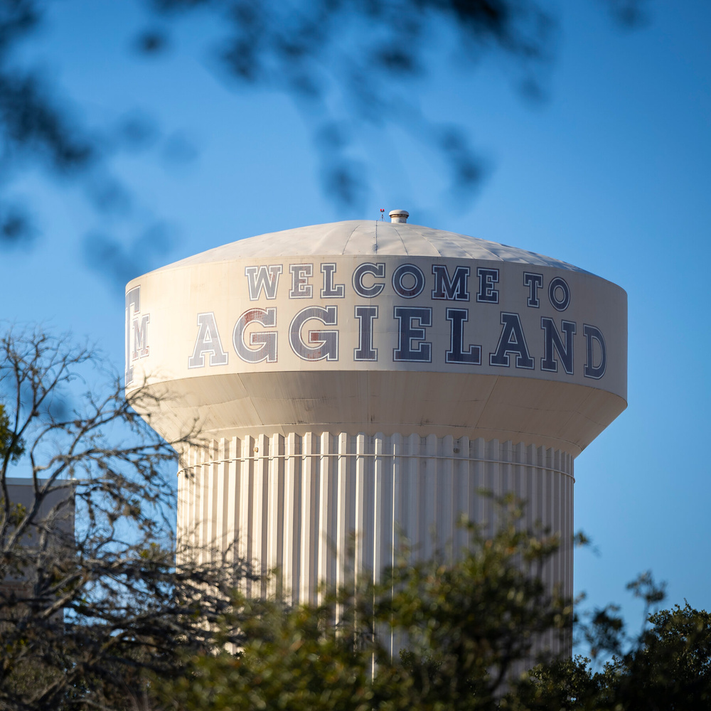 Image for the article: Texas A&M Lecturer Who Was Fired Over Gender Lesson Sues University