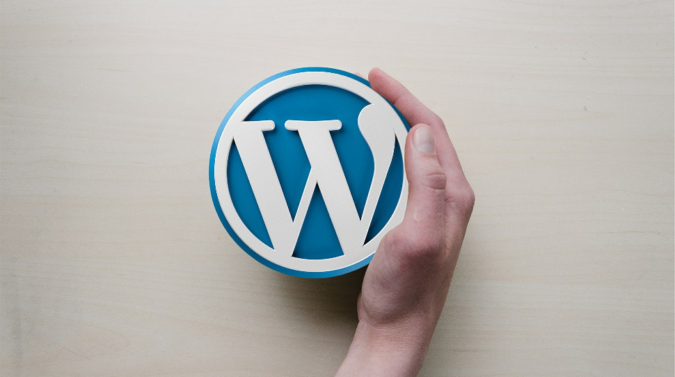 Image for the article: What is WordPress hosting?