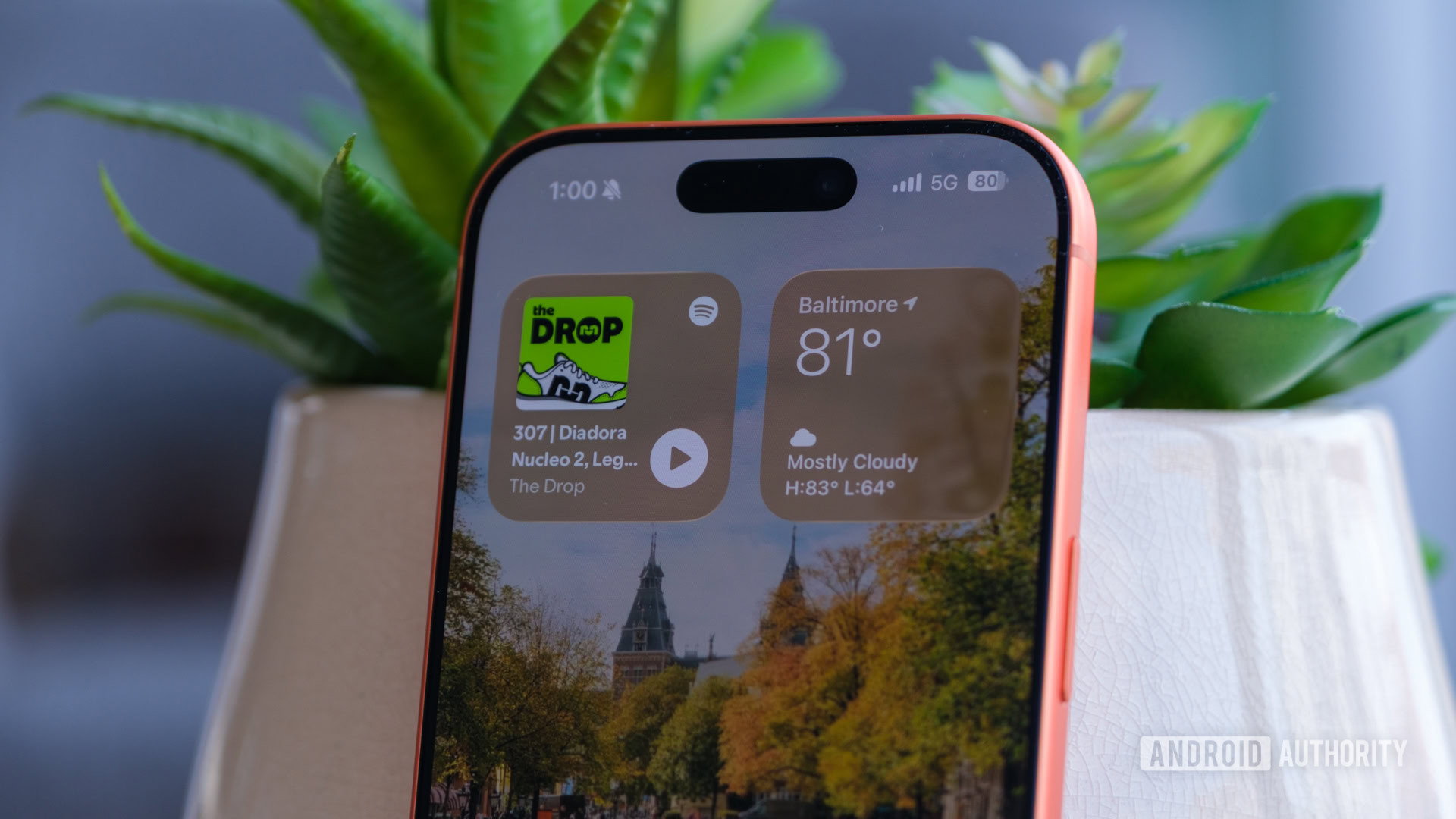 Изображение к статье: Бренды Android могут скопировать самый крутой трюк фронтальной камеры iPhone 17