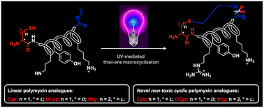 기사 이미지: 티올-엔 화학을 이용한 잠재적 역대사 폴리믹신의 설계, 합성 및 생물학적 활성