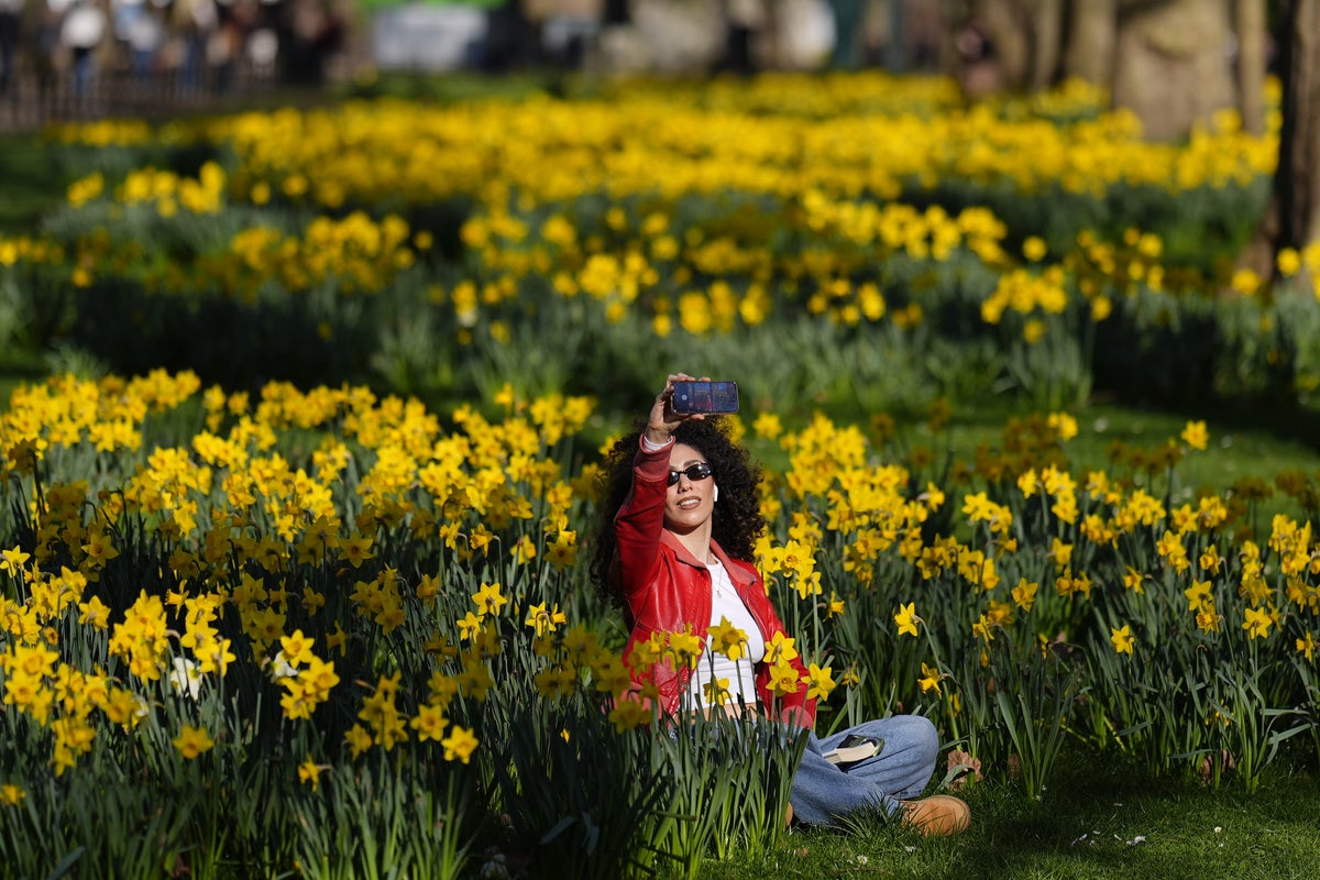 Image for the article: UK to be hotter than Barcelona this week as Met Office predicts highs of 18C