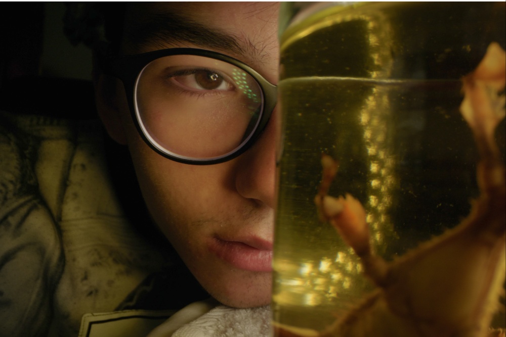 Изображение к статье: Салоникский международный фестиваль документального кино представляет программу международного конкурса (ЭКСКЛЮЗИВНО)