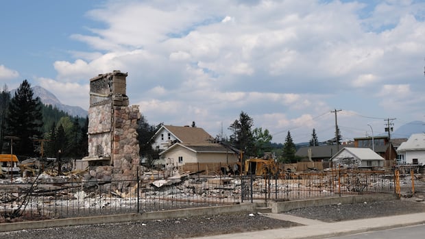 Image for the article: Canada's wildfire paradox: fewer fires, greater destruction highlighted in new analysis