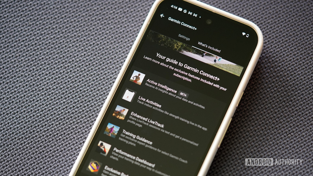 Изображение к статье: Все ненавидят новую платную подписку Garmin Connect, и я их прекрасно понимаю.