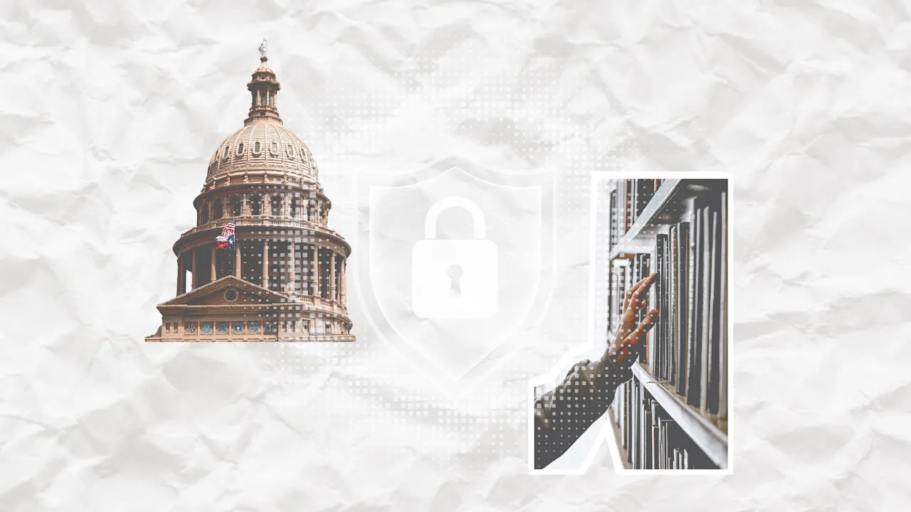 기사 이미지: 텍사스의 책 금지 법을 큰 사업으로 만든 스타트업