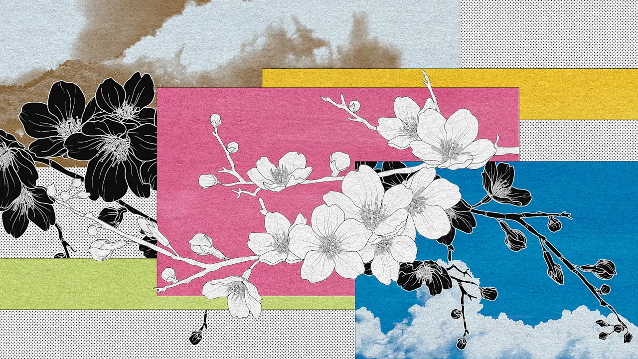 記事の画像： 日本の美しい桜が、醜い脅威に直面している